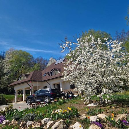 Provence Suceava Hotel Exterior photo