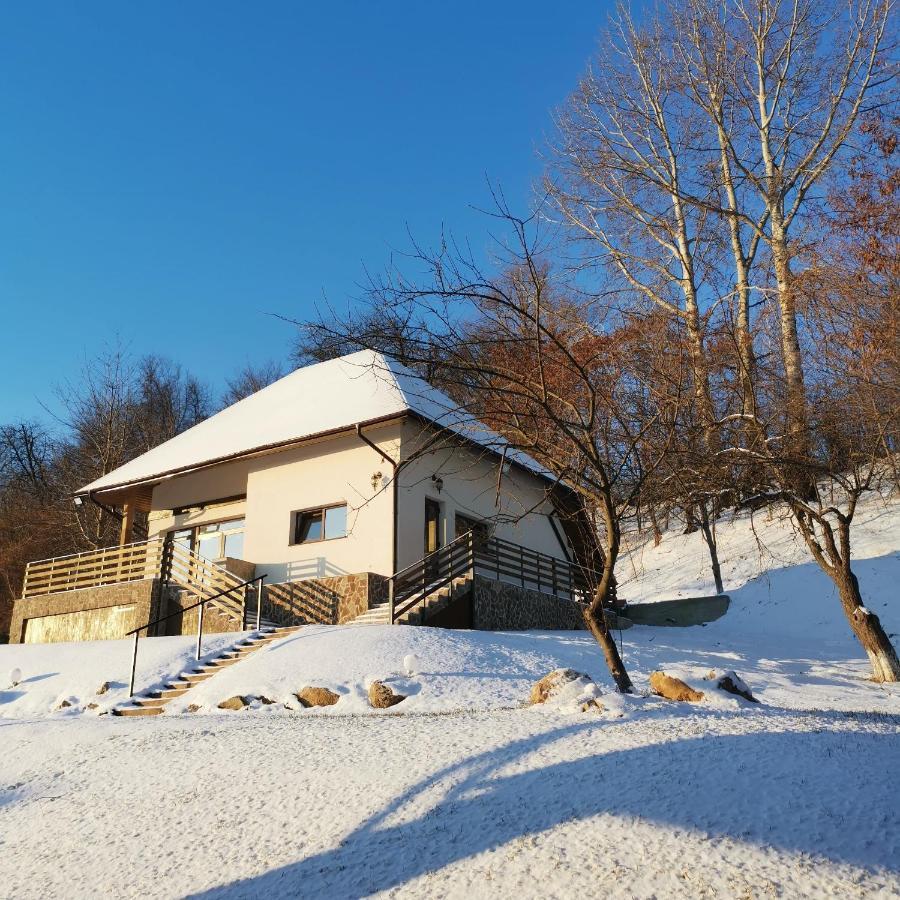 Provence Suceava Hotel Exterior photo
