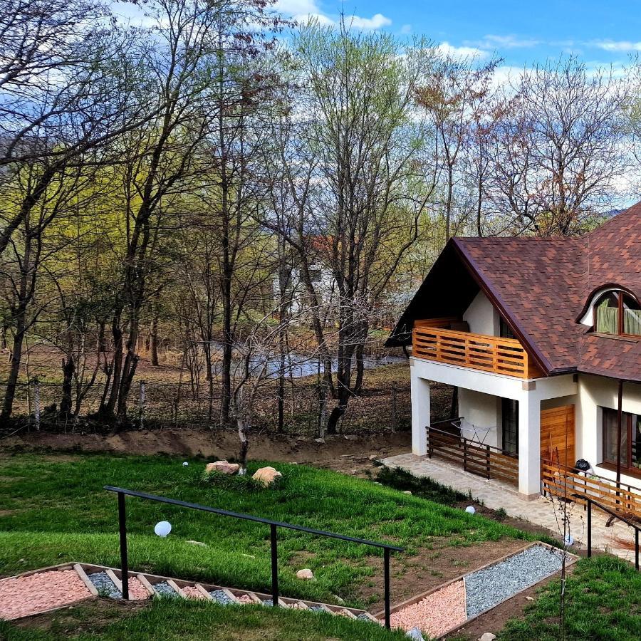 Provence Suceava Hotel Exterior photo
