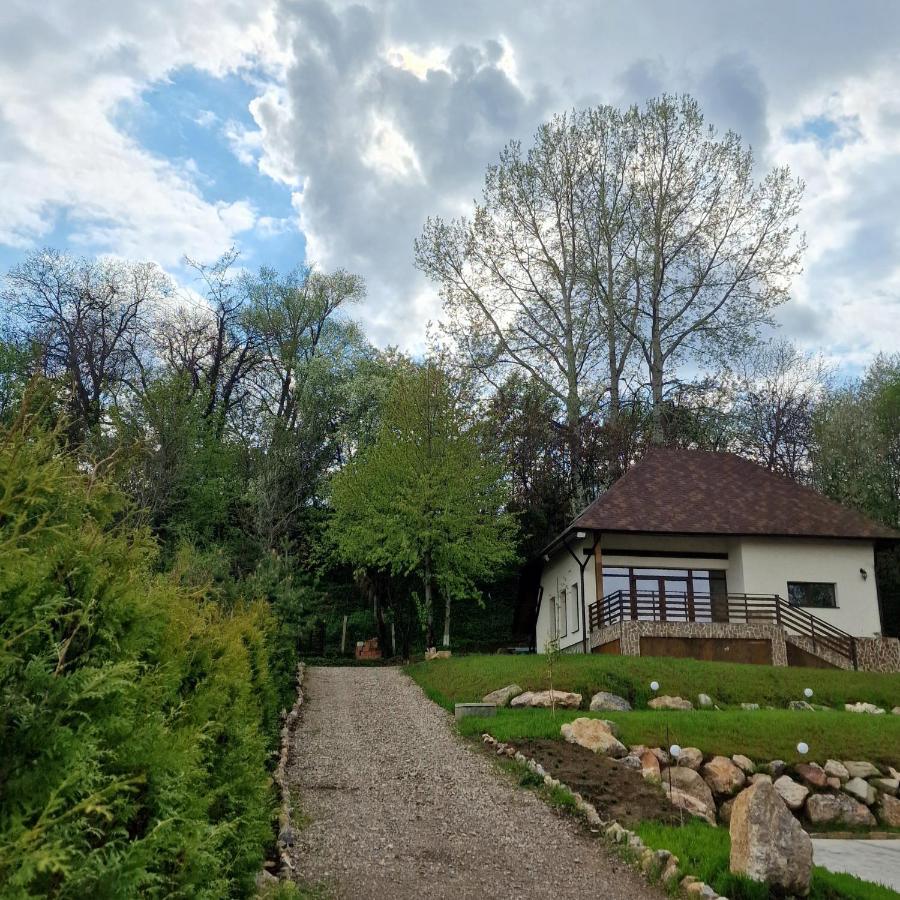 Provence Suceava Hotel Exterior photo