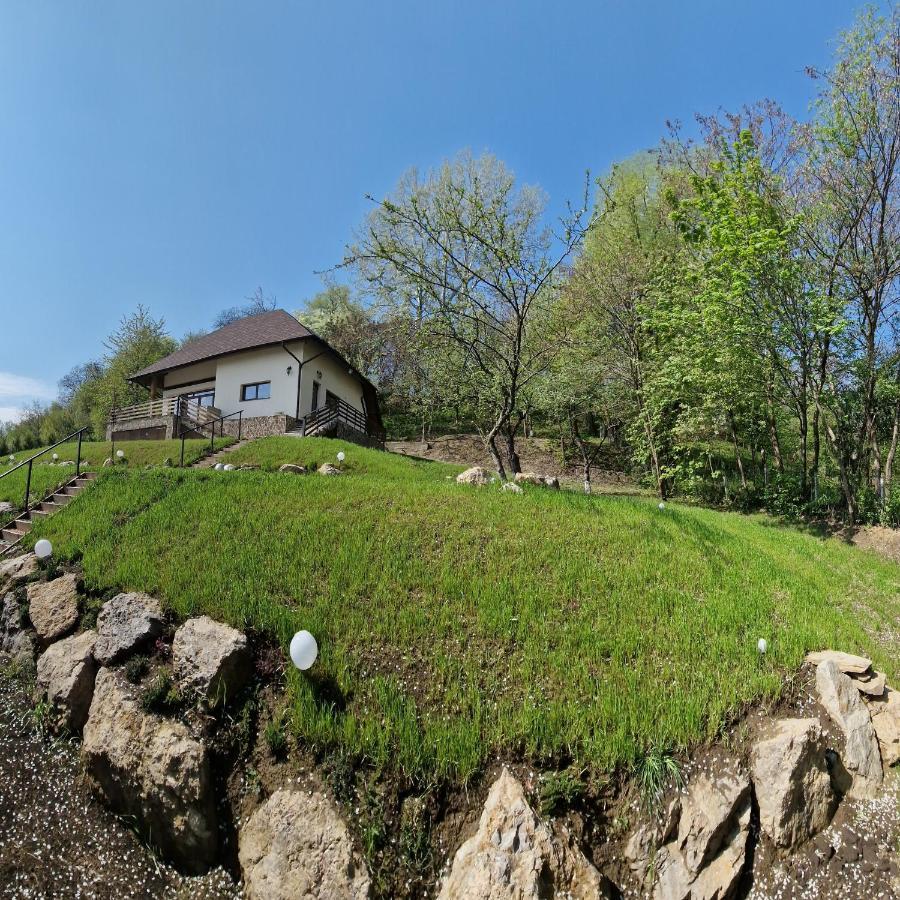 Provence Suceava Hotel Exterior photo