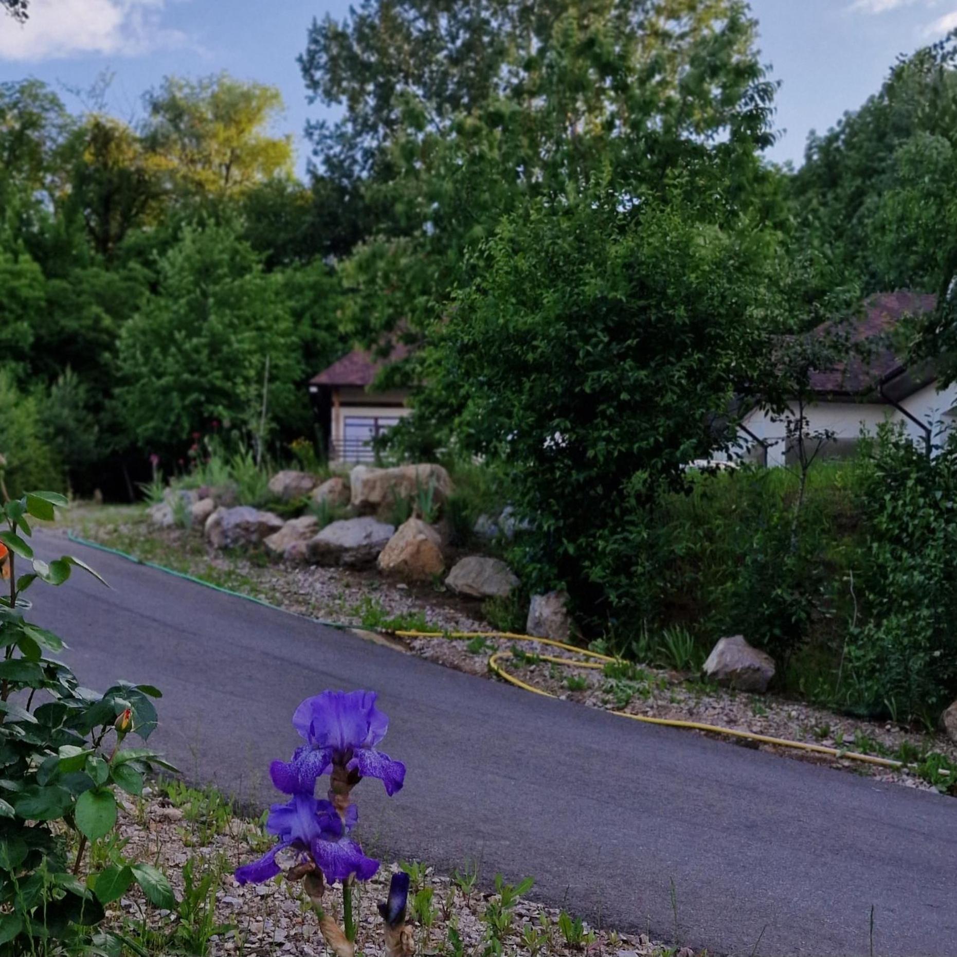 Provence Suceava Hotel Exterior photo