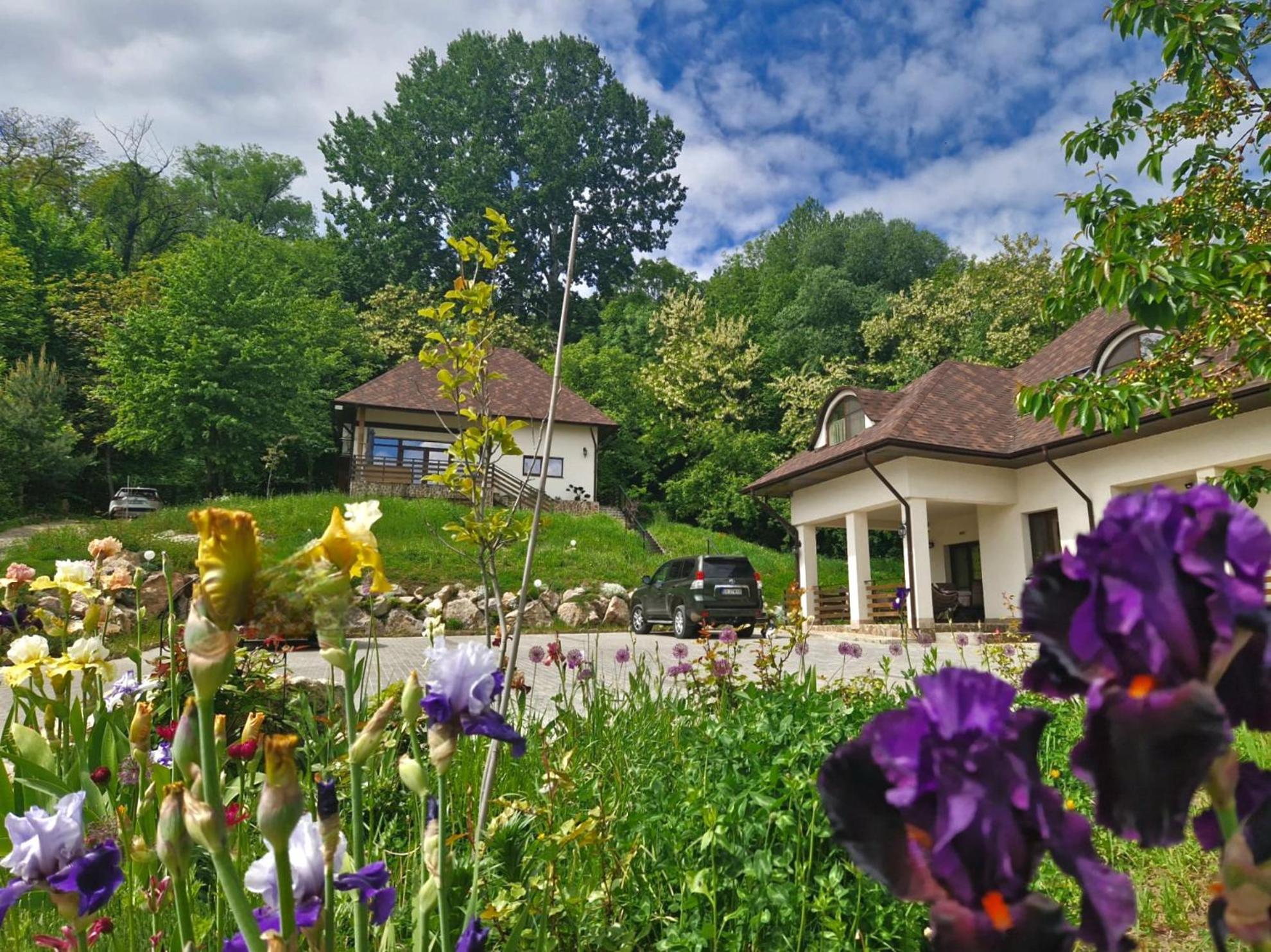 Provence Suceava Hotel Exterior photo