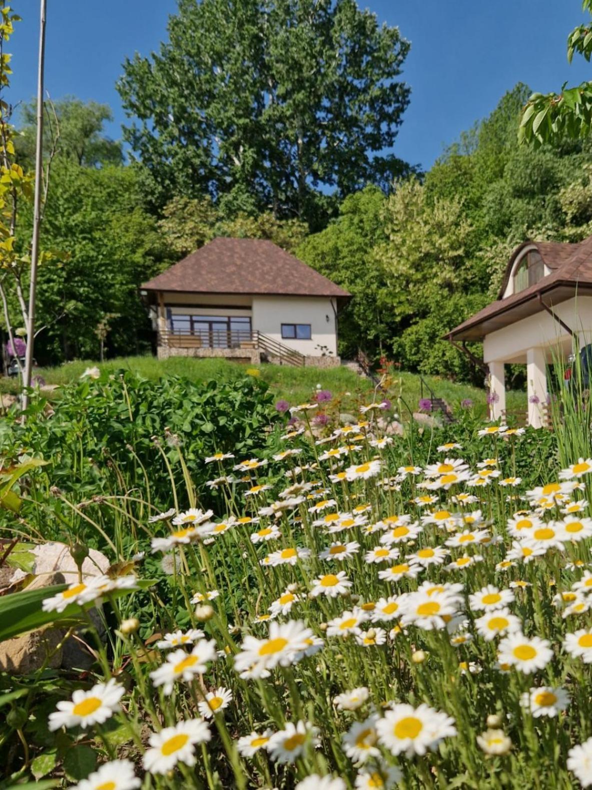 Provence Suceava Hotel Exterior photo