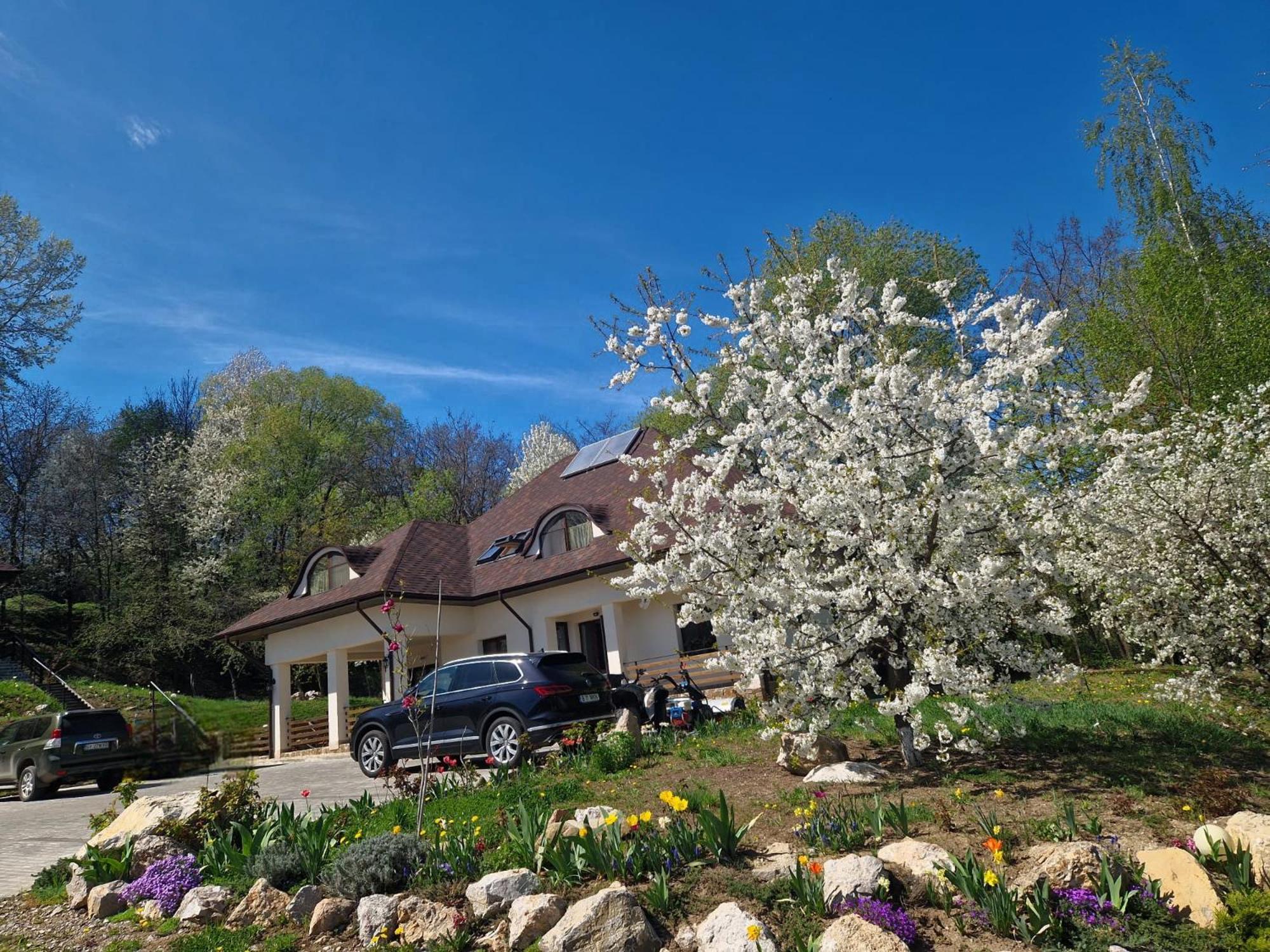 Provence Suceava Hotel Exterior photo